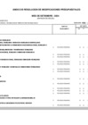 Vista preliminar de documento ANEXO
