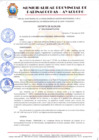Vista preliminar de documento DECRETO DE ALCALDIA Nº 003-2024-MPPC/AYAC,
