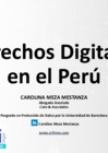 Vista preliminar de documento Derechos Digitales en el Perú - Carolina Meza