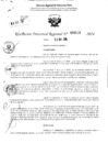 Vista preliminar de documento RDR 3120-2024