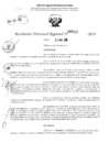Vista preliminar de documento RDR 3121-2024