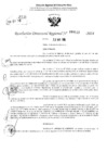 Vista preliminar de documento RDR 3122-2024