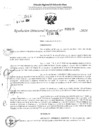 Vista preliminar de documento RDR 3123-2024