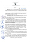 Vista preliminar de documento RES-756-2024-GRDS