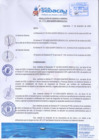 Vista preliminar de documento Cuadro de Asignación de Personal