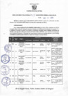 Vista preliminar de documento Resolucion 357