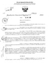 Vista preliminar de documento RDR 3124-2024