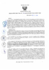 Vista preliminar de documento RD208