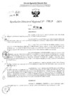 Vista preliminar de documento RDR 3129-2024