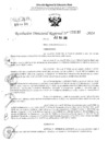 Vista preliminar de documento RDR 3130-2024