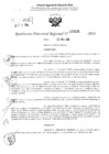 Vista preliminar de documento RDR 3131-2024