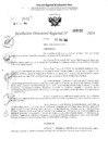 Vista preliminar de documento RDR 3132-2024