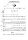 Vista preliminar de documento RDR 3133-2024