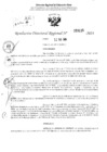 Vista preliminar de documento RDR 3135-2024