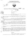 Vista preliminar de documento RDR 3136-2024