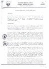 Vista preliminar de documento -234040230271663343