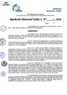 Vista preliminar de documento Resolucion Directoral N° 005958-2024