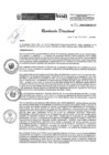 Vista preliminar de documento R.D.N.433-2024-INSN-DG