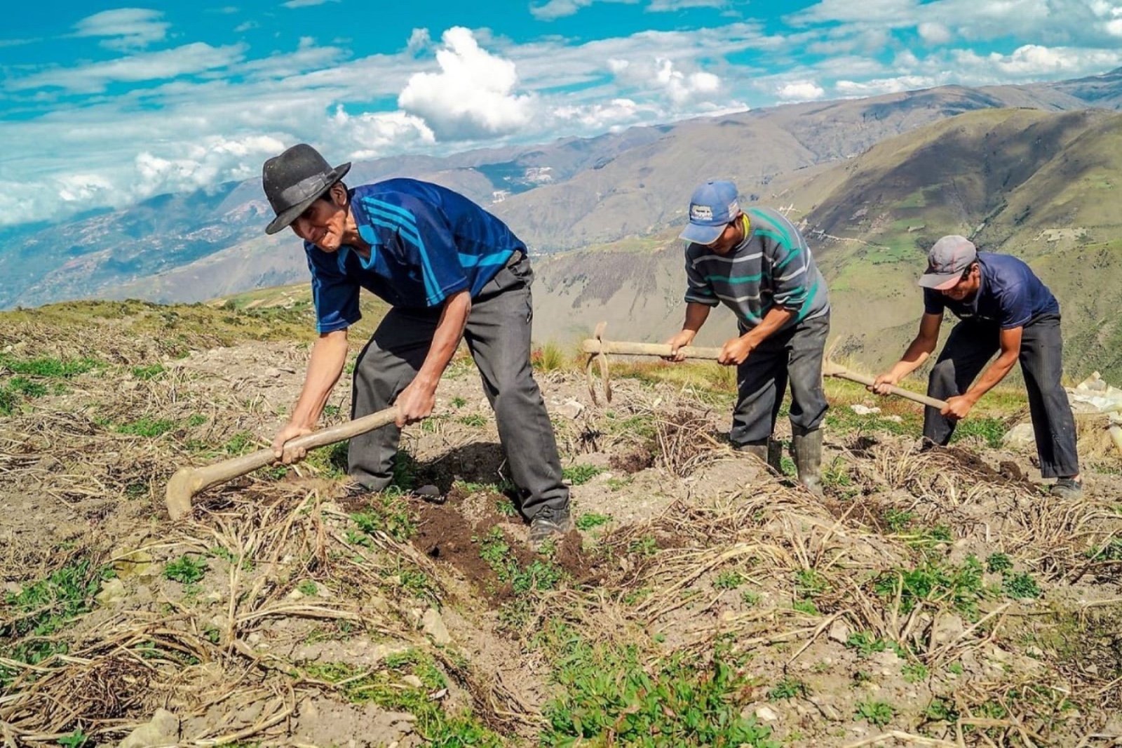Gobierno implementará programa "AGROAPLICA" que cofinanciará proyectos de diversificación agraria