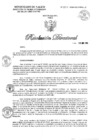 Vista preliminar de documento RD N°1101-2024-DG-DIRIS-LC