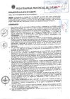 Vista preliminar de documento RA_381_12_2024