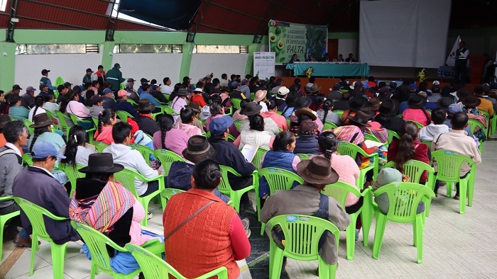 SENASA y pequeños productores oficializan inicio de campaña de exportación de palta en Huancavelica