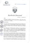 Vista preliminar de documento RD N°372-11-2024-DE-HCLLH-MINSA