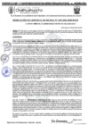 Vista preliminar de documento RGM 1407 -2024