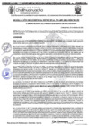 Vista preliminar de documento RGM 1409 -2024