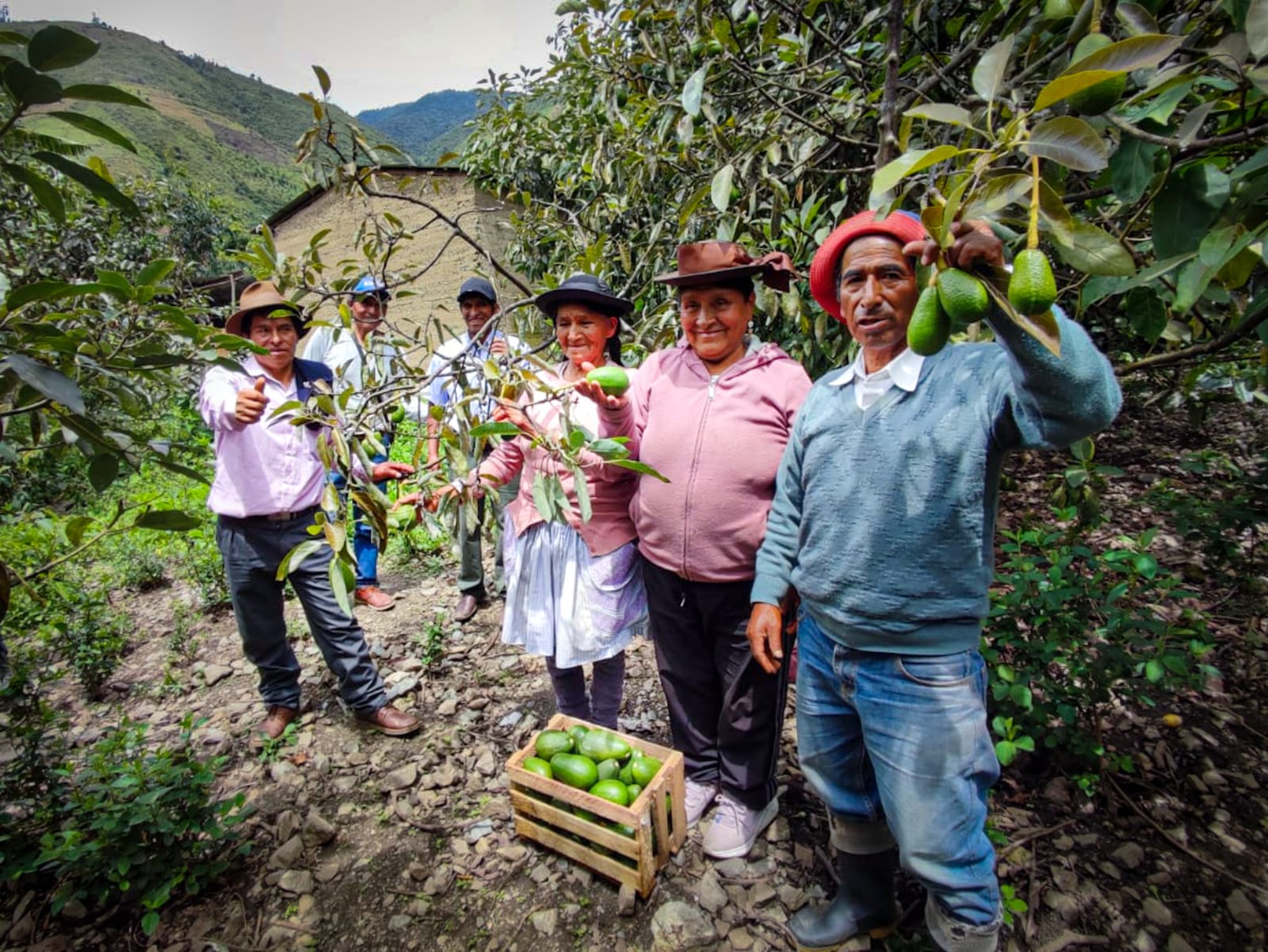 AGRO RURAL