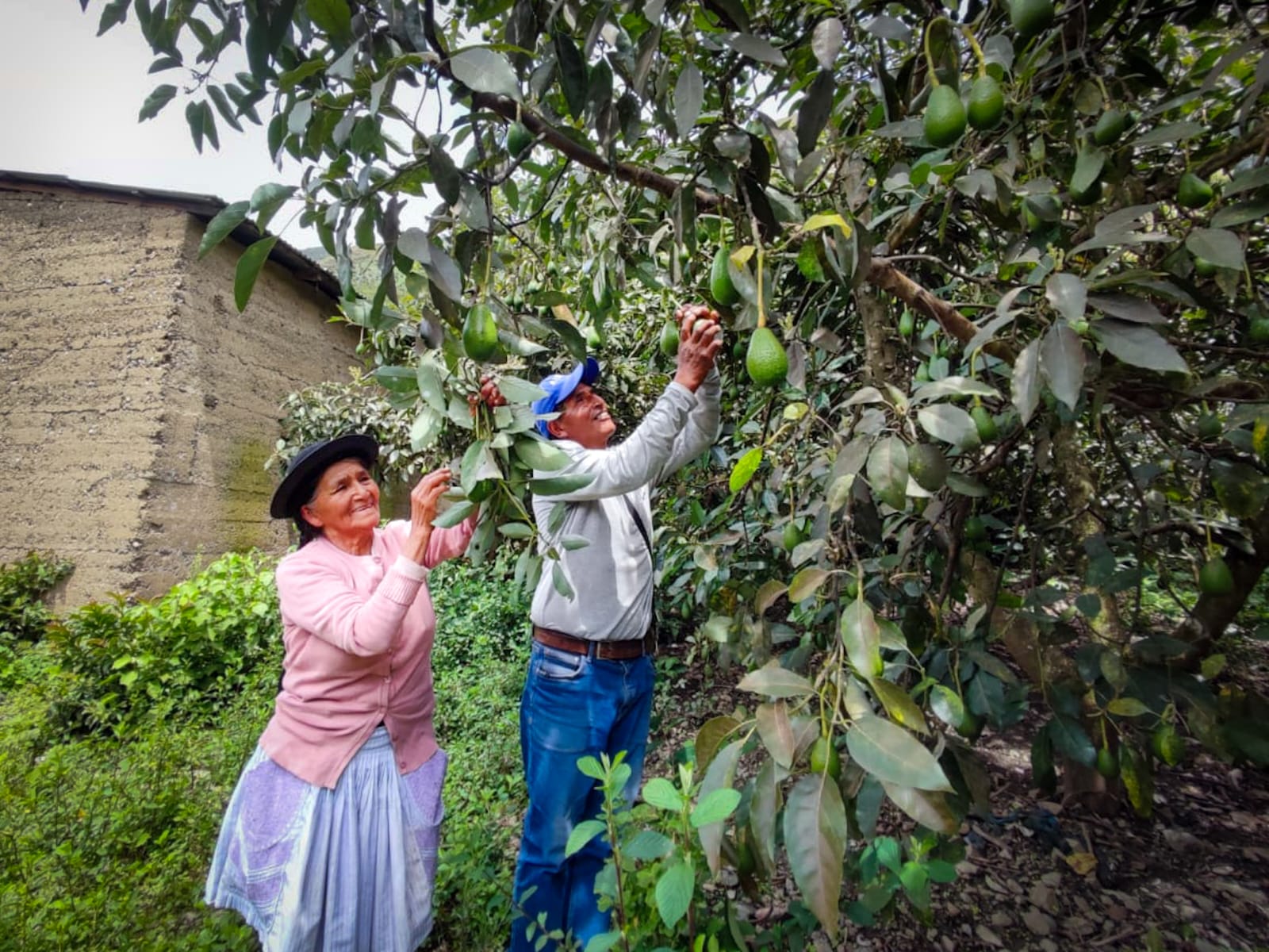 AGRO RURAL
