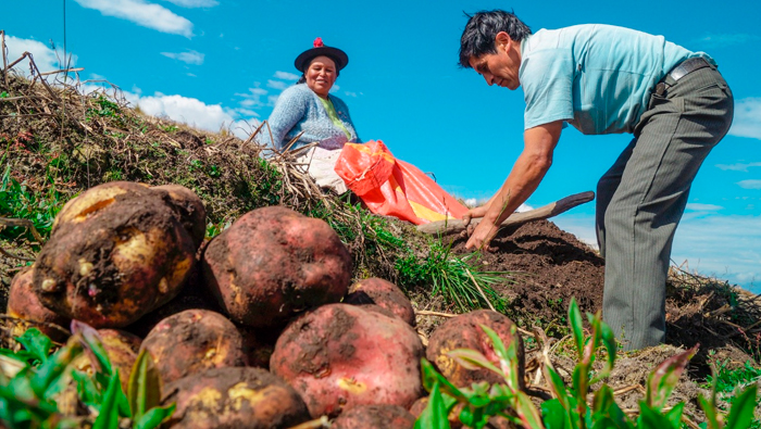 nota de prensa del gobierno regional de huancavelica