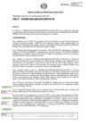Vista preliminar de documento RDE-000306-2024-DE