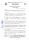Vista preliminar de documento Resolución de Comisión Organizadora N° 113-2024-UNIQ-CO