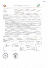 Vista preliminar de documento ITEM N° 05 PERFIL INGENIERO(A) FORESTAL III - GERENCIA REGIONAL FORESTAL Y DE FAUNA SILVESTRE