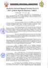 Vista preliminar de documento 2. Resolución Directoral Regional Sectorial N° 6196-2024-GRA/DREA
