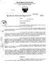 Vista preliminar de documento RDR 5333-2023