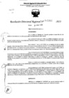Vista preliminar de documento RDR 5352-2023
