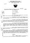 Vista preliminar de documento RDR 5354-2023