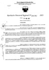 Vista preliminar de documento RDR 5356-2023