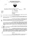 Vista preliminar de documento RDR 5357-2023