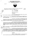 Vista preliminar de documento RDR 5359-2023