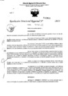 Vista preliminar de documento RDR 5391-2023