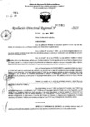 Vista preliminar de documento RDR 5393-2023