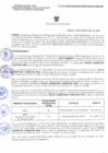 Vista preliminar de documento 1183_2024
