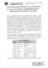 Vista preliminar de documento Acta de Acuerdos y Compromisos del Presupuesto Participativo 2025 - MDL