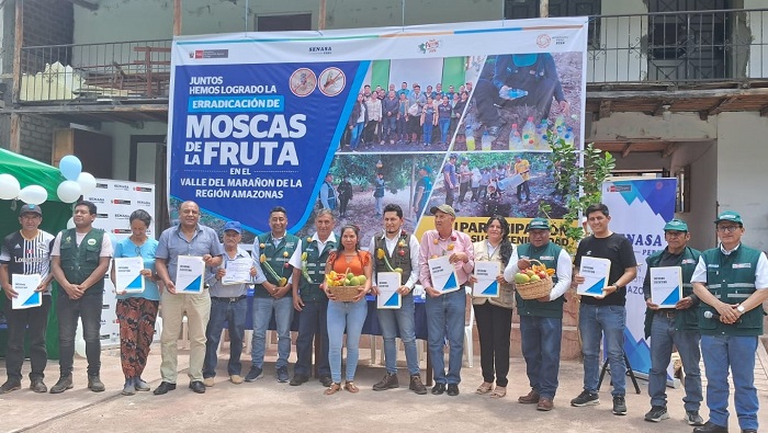 SENASA Peru, autoridades y productores reafirman alianza para erradicar mosca de la fruta en Amazonas