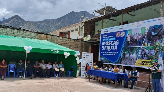 SENASA Peru, autoridades y productores reafirman alianza para erradicar mosca de la fruta - Amazonas