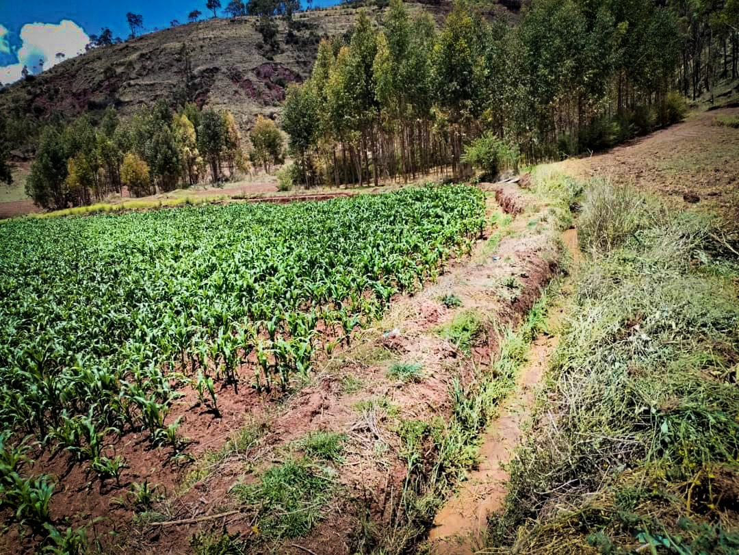 AGRO RURAL