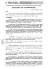 Vista preliminar de documento RESOLUCION N° 234-2024-UNHEVAL-URH/J